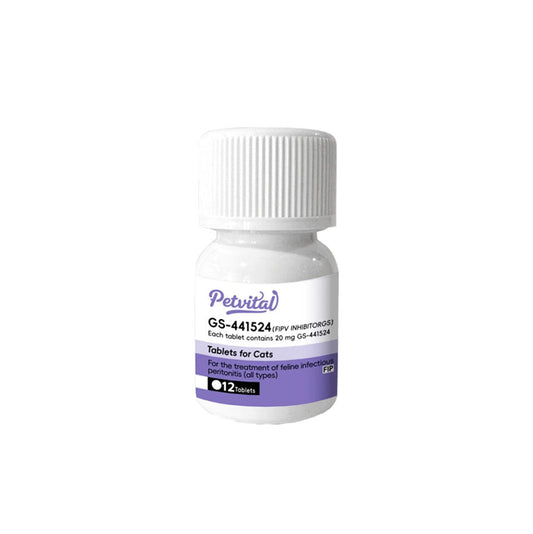 Cat FIP Treatment,  FIP Medication, FIP Medicine, gs-441524, oral