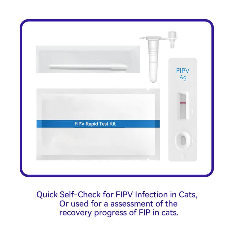 Cat FIP Treatment for 98% Cure Rate - FIP Medication GS-441524 Tablets oral