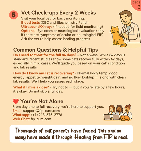 Cat FIP Treatment for 98% Cure Rate - FIP Medication GS-441524 Tablets oral