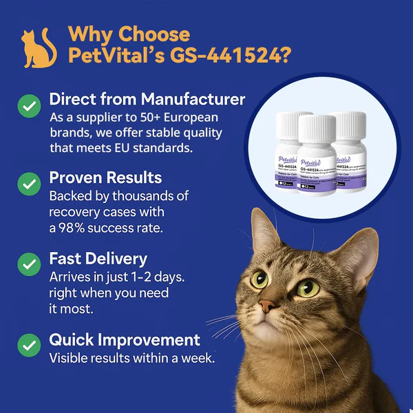 Cat FIP Treatment for 98% Cure Rate - FIP Medication GS-441524 Tablets oral